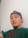 Alvin Picardal, 29 лет, Lungsod ng San Fernando (Ilocos)