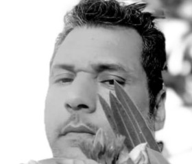 الطائر الجريح, 49, Cairo