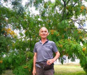 Адександр, 59 лет, Томск