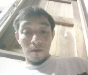 พพ, 20, Yaring