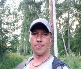 Владимир, 40 лет, Томск