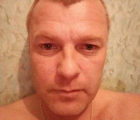 Николай, 41 год, Туринск
