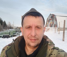 Сергей Голышев, 38 лет, Камышлов