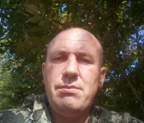 Алексанр, 46 лет, Партизанск