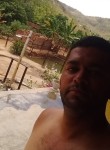 Luiz, 39 лет, Belo Jardim