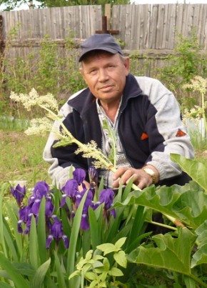 владимир, 74, Россия, Сургут
