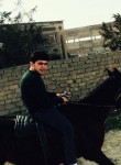 yusuf, 33 года, Samarqand