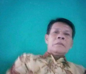 Karto Suweryo, 73 года, Djakarta