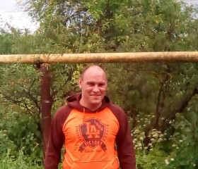 Денис, 43 года, Родники (Ивановская обл.)