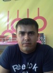 платон, 35 лет, Бишкек