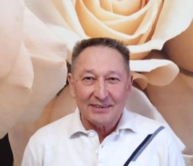 Фанис, 65 лет, Стерлитамак