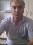 Жамшид, 39 лет, Toshkent