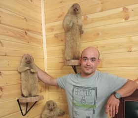 Дмитрий, 39 лет, Рудный
