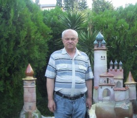 Владимир, 70 лет, Иркутск