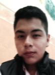 Mario, 20 лет, México Distrito Federal
