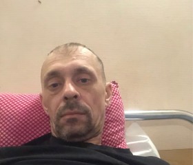 Владимир, 42 года, Владимир