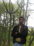 Sanjay raj, 30 лет, Bikaner