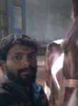 Bunty, 32 года, Nagpur