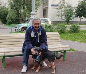 Лев, 66 лет, Москва
