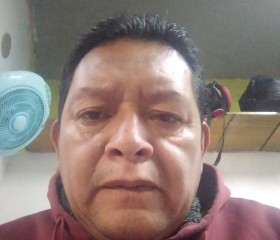 Alberto, 50 лет, Naucalpan de Juárez