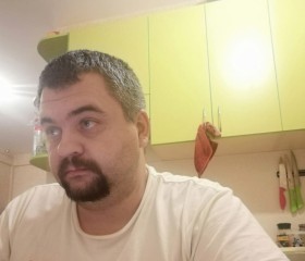 Алексей, 41 год, Большое Болдино