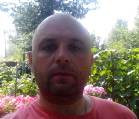 михаил, 46 лет, Егорьевск