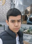 Лазиз, 19 лет, Samarqand