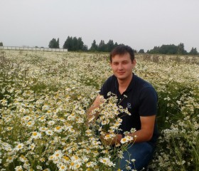 Сергей, 34 года, Тюмень