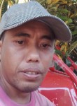 Dekno, 38, Denpasar