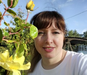Alisa, 38, Kirovsk (Murmansk)