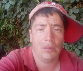 Trabajo, 33, Linares