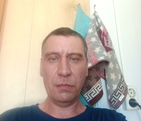 Костя, 44 года, Александров