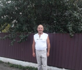 Анатолий, 73 года, Помічна