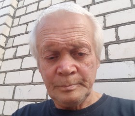 Геннадий, 62 года, Нижний Новгород