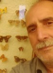 Reza, 52 года, قم‎