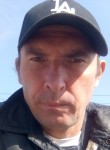 Сергей Проказов, 41 год, Рязань
