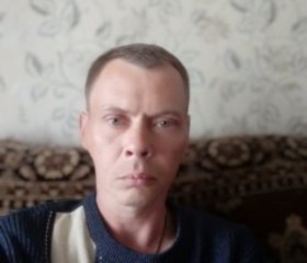 Сергей, 43 года, Няндома