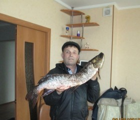 генадий, 58 лет, Ноябрьск