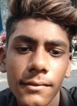 Rohit bhai Katar, 19 лет, Shājāpur