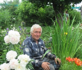 Иван, 71 год, Кемь