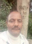ادم, 18  , Cairo