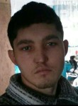 Денис, 27 лет, Бишкек