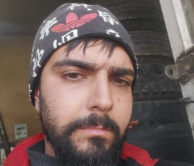 Amir ali, 28 лет, İstanbul