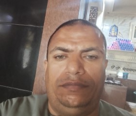 مدحت, 42, Alexandria