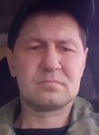 Николай, 44 года, Шадринск