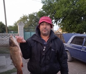 Анатолий, 53 года, Миколаїв