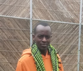 Torlino, 33 года, Nairobi