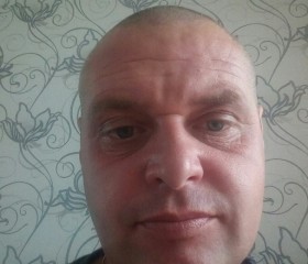 Стас, 42 года, Naaldwijk
