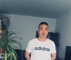 春华秋实, 55, Harbin