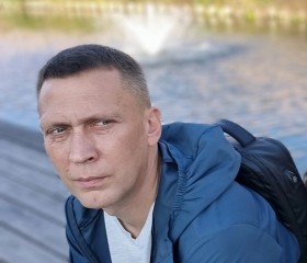 Владимир, 43 года, Тула